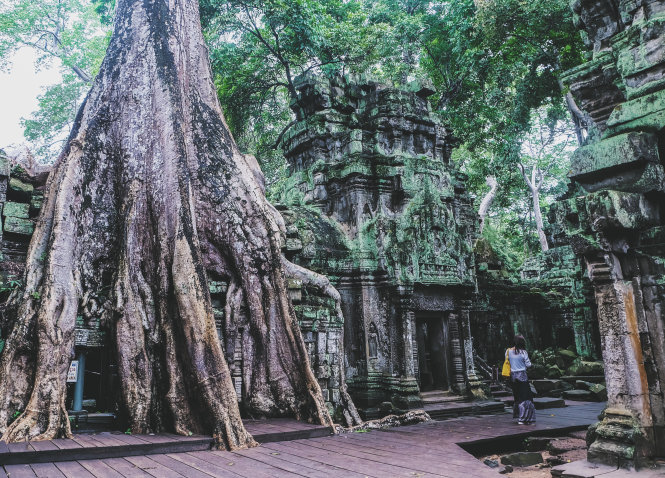 Ta Prohm - ng&ocirc;i đền của những rễ c&acirc;y kỳ dị  - Ảnh 2.
