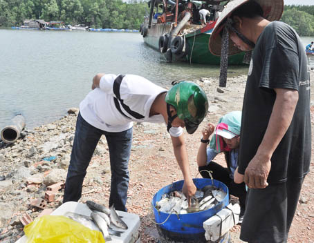 Sớm mai gh&eacute; thăm bến c&aacute; v&ugrave;ng nước lợ - Ảnh 1.