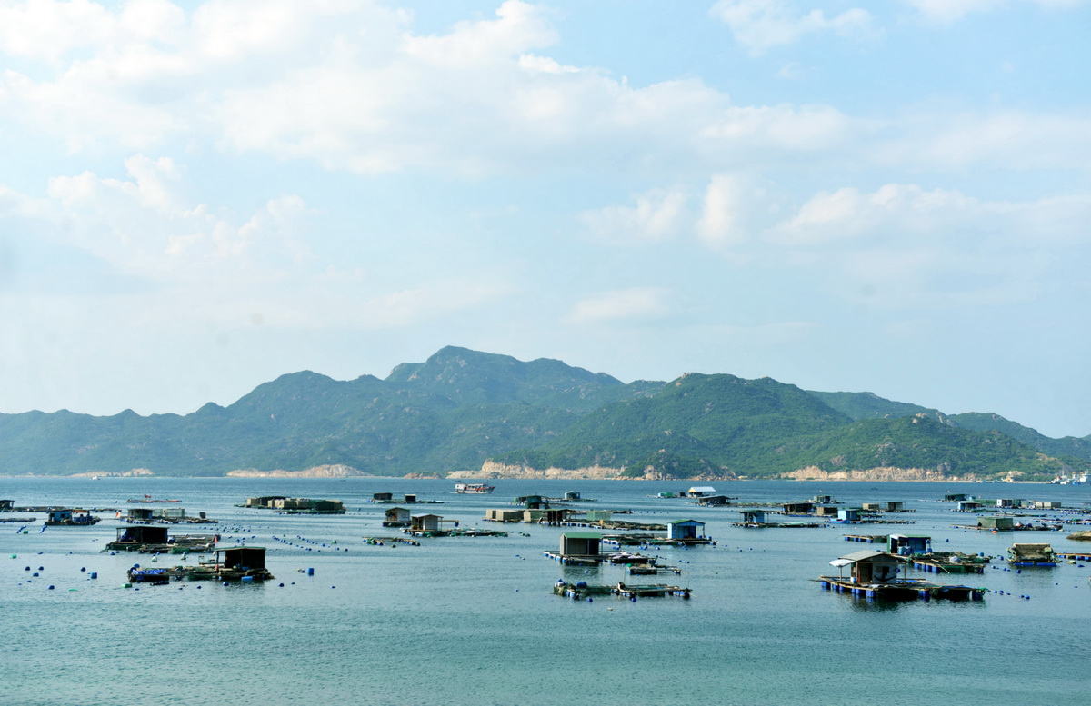 Đi chơi Bình Ba từ Sài Gòn chỉ với 2 triệu đồng - Ảnh 1.