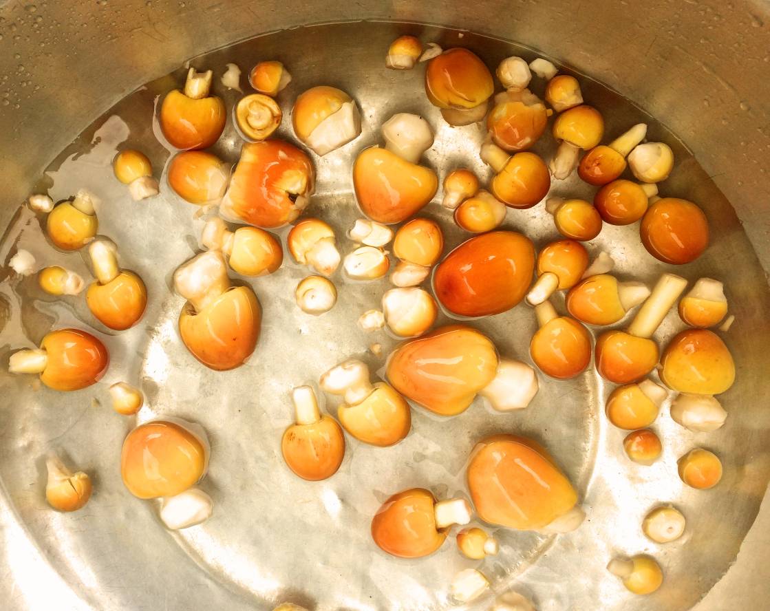 Cháo nấm trứng gà, món lạ mà ngon! - Ảnh 2.