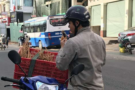 Sơn nh&acirc;n v&agrave; những cuộc săn lộc rừng - Ảnh 1.