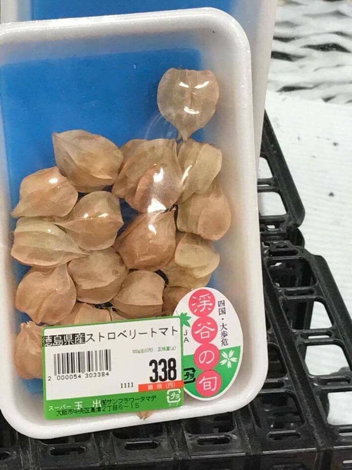 Tầm bóp: Ở Việt Nam là quả dại, ở Nhật bán 700.000 đồng/kg