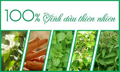 Bước đột phá dòng sản phẩm cao xoa chứa 100% tinh dầu thiên nhiên