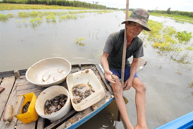 Sướng với mùa nước nổi đang về miền Tây