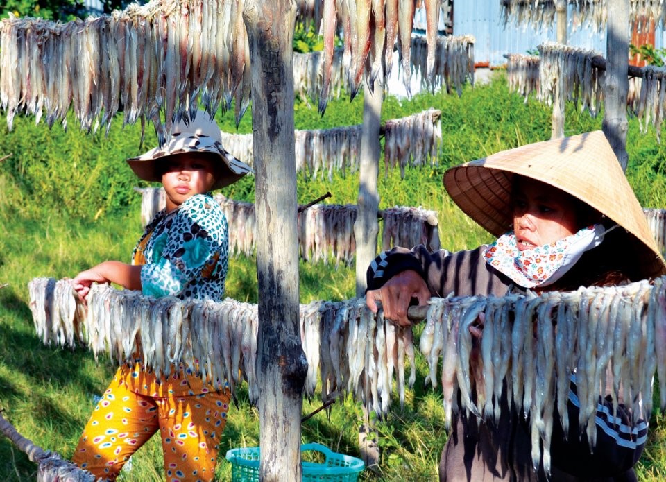 Kỳ thú cá khoai Cái Đôi Vàm
