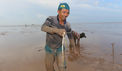 Săn cá chình mỡ ở biển Gò Công - Ảnh 1.