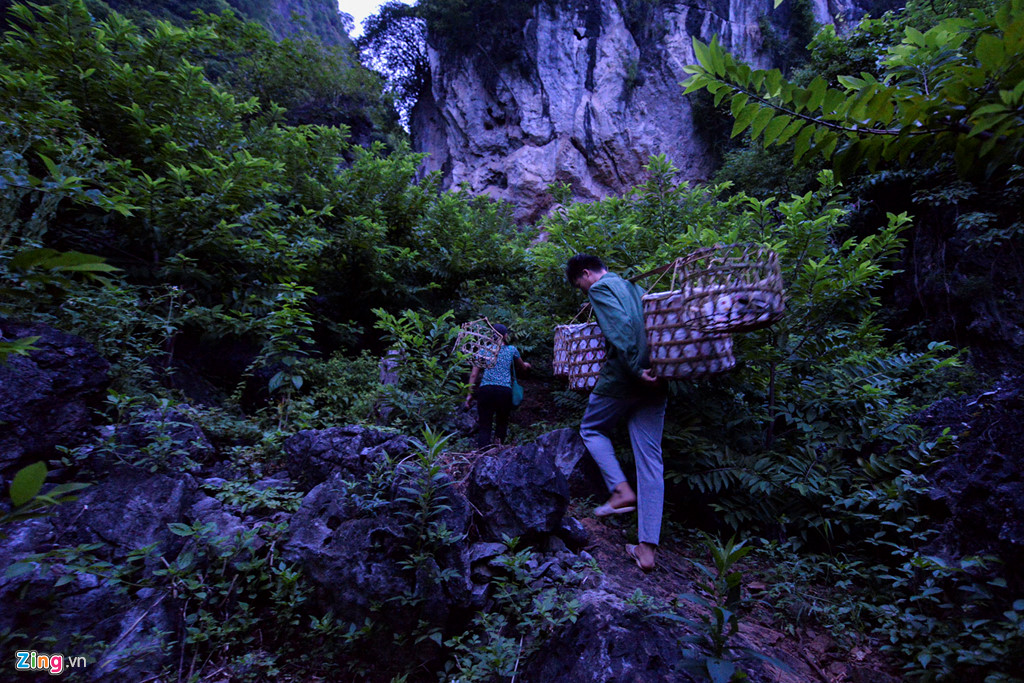 Nhọc nhằn trồng na tr&ecirc;n n&uacute;i đ&aacute; - Ảnh 1.