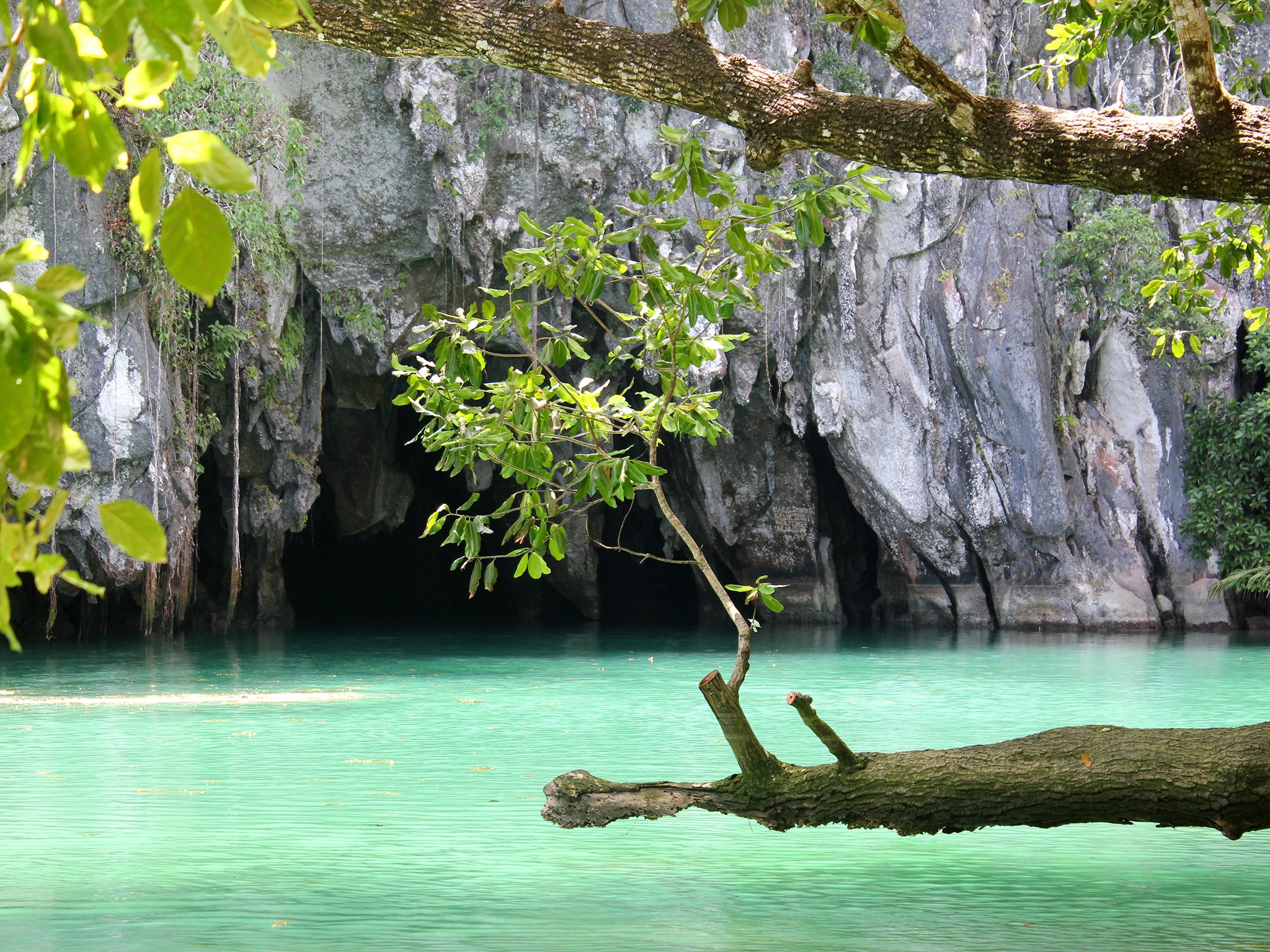 Palawan: H&ograve;n đảo đẹp nhất thế giới - Ảnh 2.