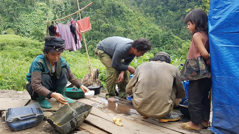 Hoang mộng vàng trên đỉnh Mà Sa Phìn