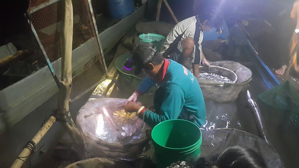 Nỗi niềm mùa nước nổi bên Bến Cá miền Tây