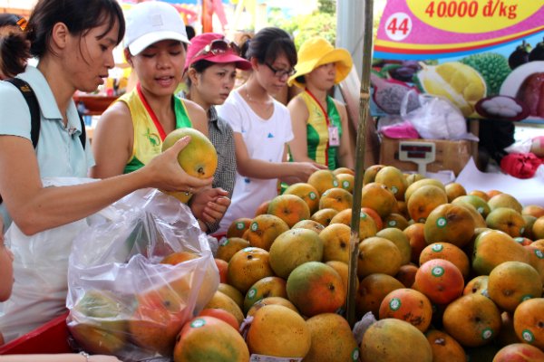 Trung Quốc gom mua 3/4 lượng rau quả Việt Nam