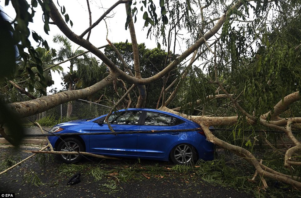 Phi c&ocirc;ng liều lĩnh l&aacute;i m&aacute;y bay xuy&ecirc;n b&atilde;o Irma - Ảnh 2.