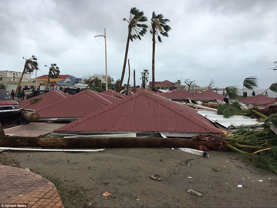 Phi c&ocirc;ng liều lĩnh l&aacute;i m&aacute;y bay xuy&ecirc;n b&atilde;o Irma - Ảnh 4.