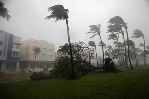 Bão Irma đổ bộ vào bang Florida