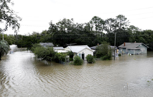 Mất nhà vì bão Irma, cá sấu lang thang ở Florida - Ảnh 4.