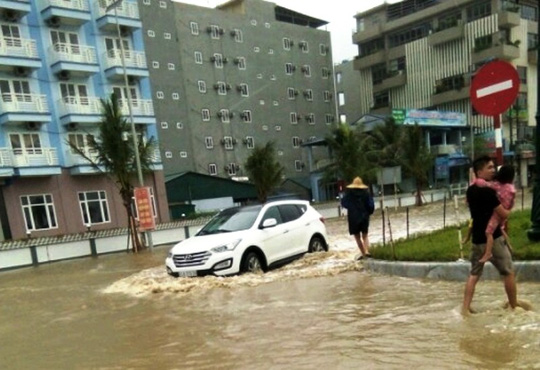 Bão số 10: Cuồng phong quét qua, nhà tốc mái, cây đổ la liệt - Ảnh 13.