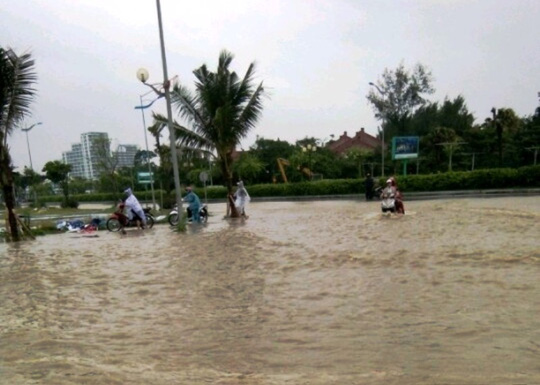 Bão số 10: Cuồng phong quét qua, nhà tốc mái, cây đổ la liệt - Ảnh 14.