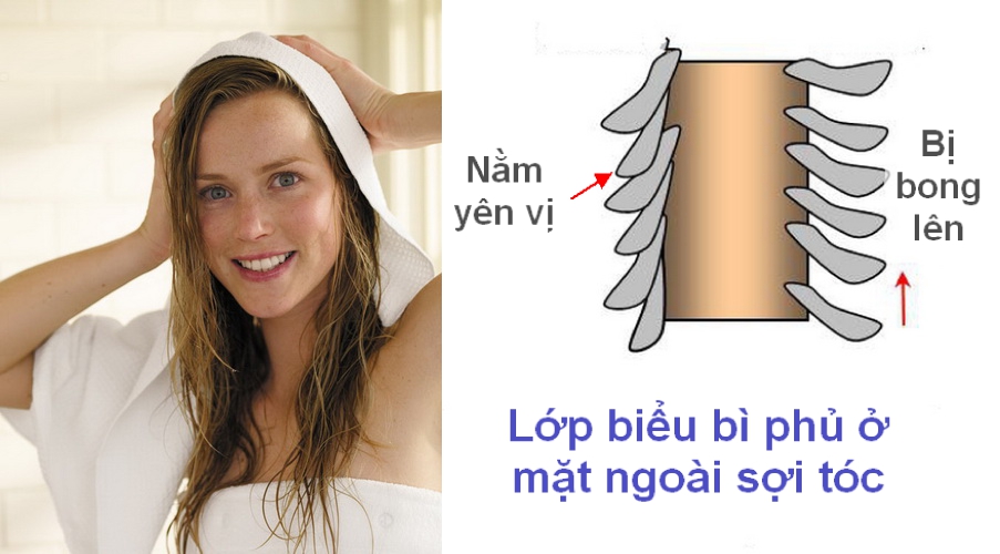Sử dụng m&aacute;y sấy t&oacute;c thế n&agrave;o cho hợp l&yacute;? - Ảnh 2.