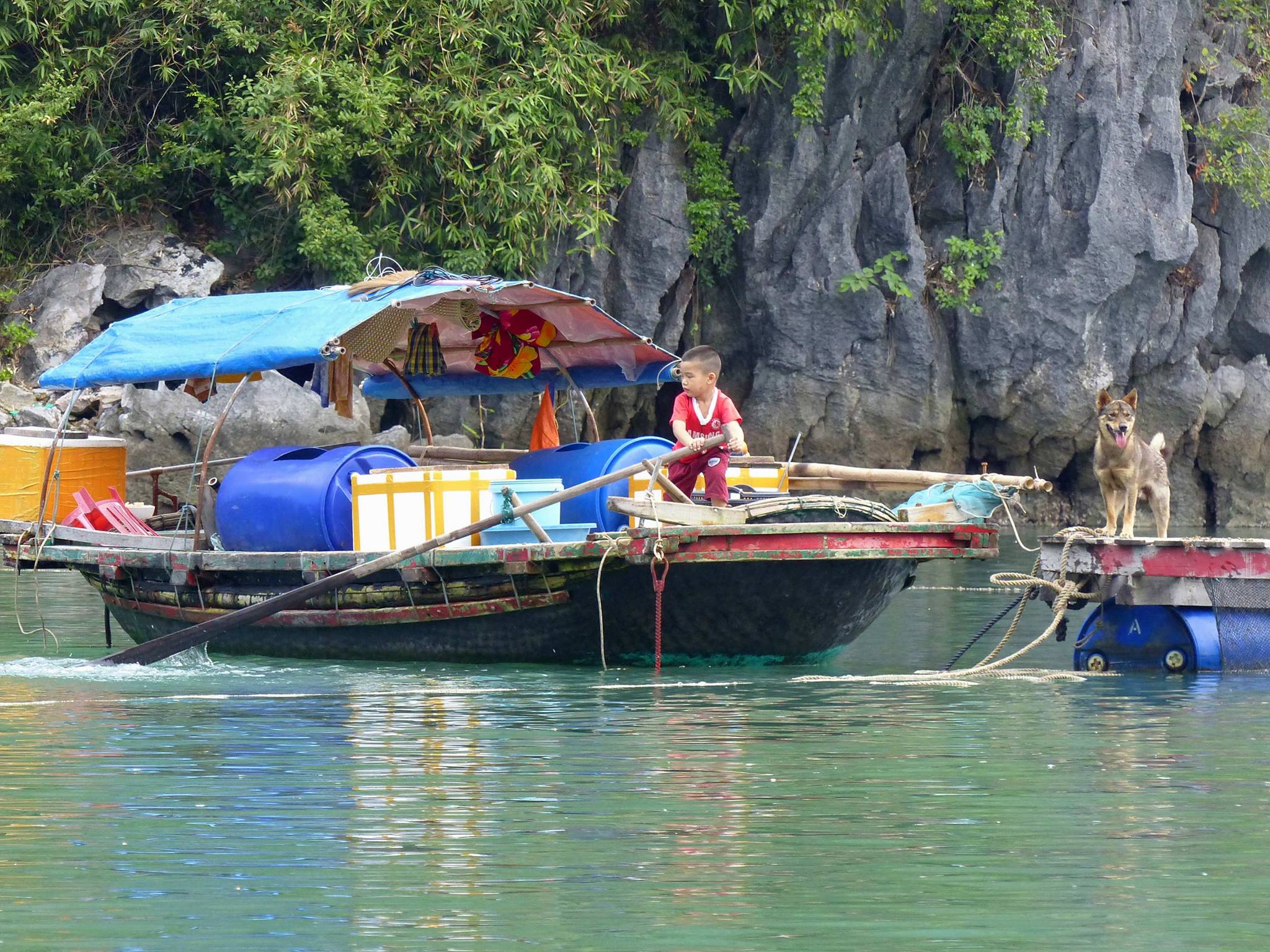 Họa sĩ Ph&aacute;p triển l&atilde;m tranh về Việt Nam tại bảo t&agrave;ng qu&ecirc; nh&agrave; - Ảnh 3.