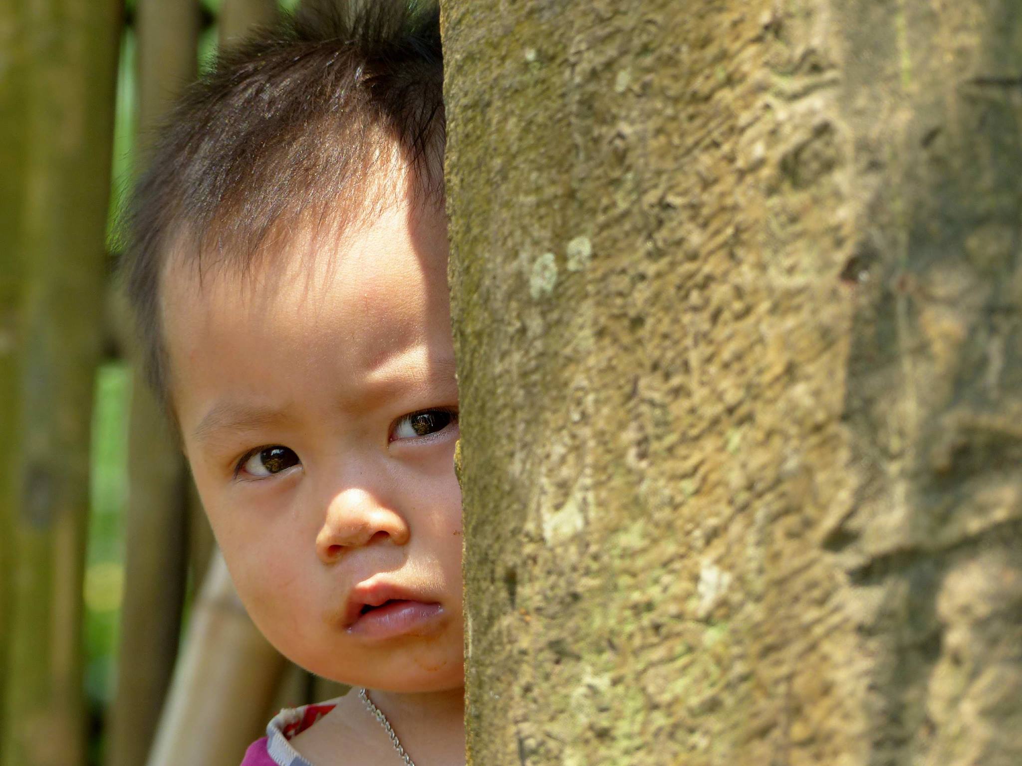 Họa sĩ Ph&aacute;p triển l&atilde;m tranh về Việt Nam tại bảo t&agrave;ng qu&ecirc; nh&agrave; - Ảnh 5.