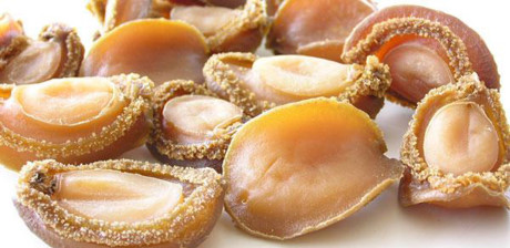 15 triệu/kg, b&agrave;o ngư c&oacute; g&igrave; hấp dẫn m&agrave; ai cũng muốn thử - Ảnh 2.