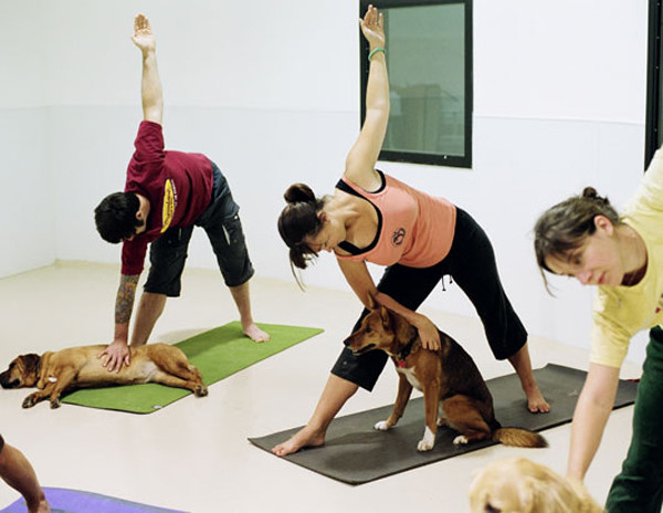 Những màn trình diễn yoga như thế này thật không tưởng - Ảnh 2.