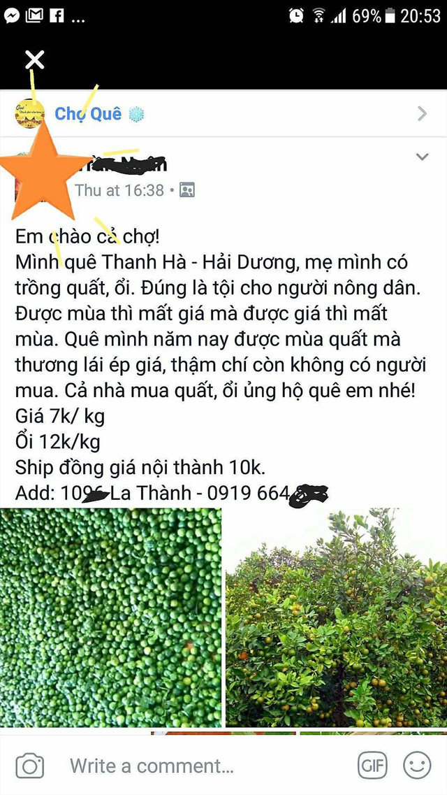 Giá giảm sâu, quất, ổi lại “kêu cứu” - Ảnh 1.