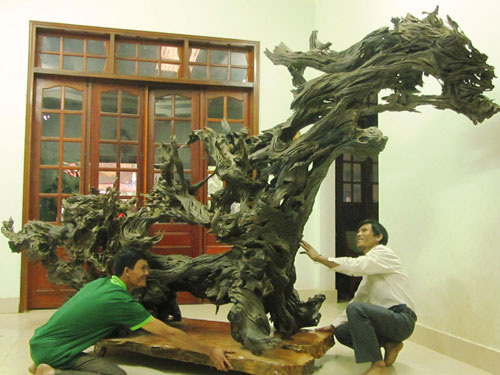 Gốc c&acirc;y b&agrave;ng cổ kỳ b&iacute;: 600 năm tuổi gi&aacute; 35 tỉ đồng - Ảnh 4.
