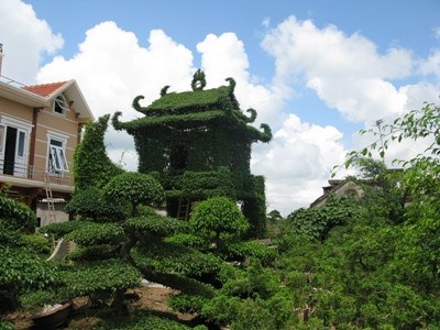 &ldquo;Vi h&agrave;nh&rdquo; l&agrave;ng c&acirc;y cảnh thế khủng, cực chất - Ảnh 1.
