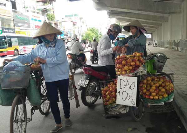 Thị trường trái cây bao giờ được quản lý?