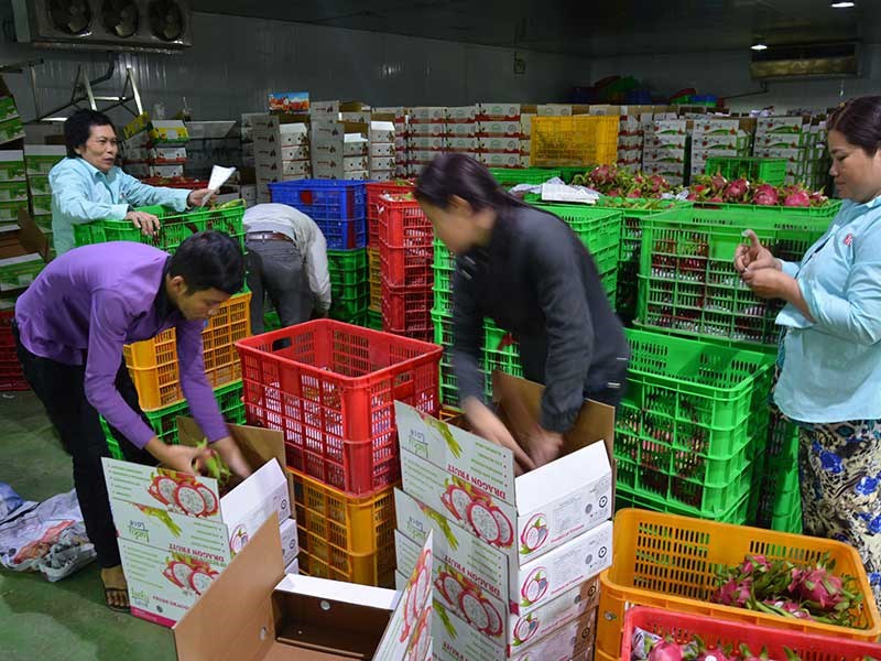 Thị trường Trung Quốc thay đổi, nhiều doanh nghiệp Việt lao đao
