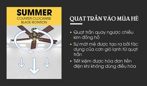 7 l&iacute; do quạt trần kh&ocirc;ng thể bị thay thế - Ảnh 2.