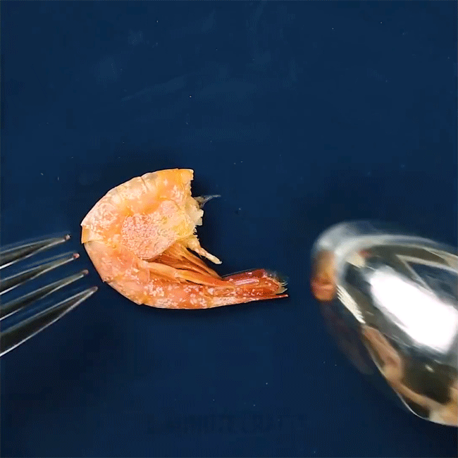 B&oacute;c vỏ t&ocirc;m thần sầu chỉ v&agrave;i gi&acirc;y sạch trơn! - Ảnh 2.