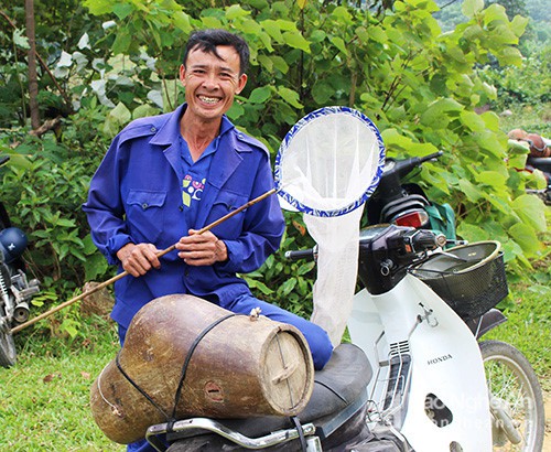 Săn ong giống ở miền Tây xứ Nghệ hồi hộp, li kỳ như đấu trường 100
