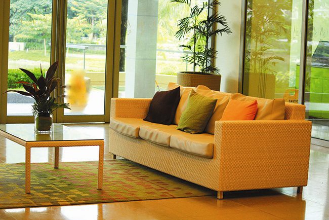 Cây xanh nhà phố