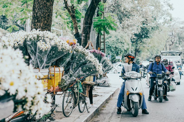 C&oacute; một m&ugrave;a c&uacute;c họa mi đẹp ngỡ ng&agrave;ng theo về tr&ecirc;n phố - Ảnh 2.