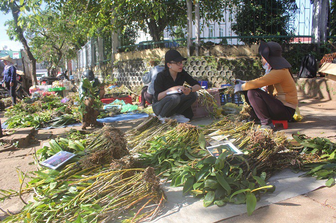 Săn vô tội vạ, lan rừng quý có nguy cơ cạn kiệt