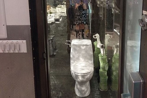 Những toilet đẹp nhất nước Mỹ năm 2017 - Ảnh 3.