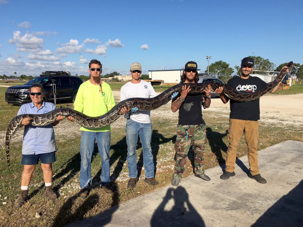 Bắn bể đầu trăn "khủng" ở Nam Florida