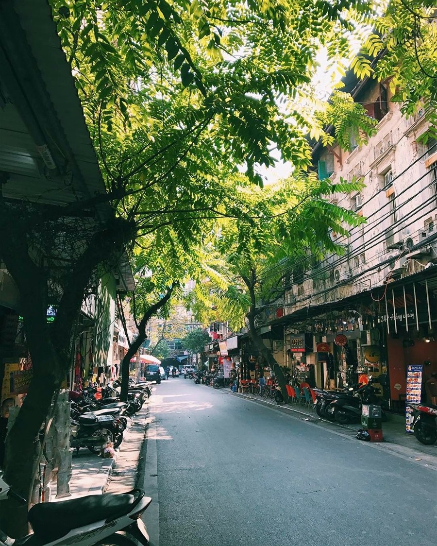 Việt Nam đẹp đến thổn thức dưới mắt nhiếp ảnh gia người Anh - Ảnh 3.
