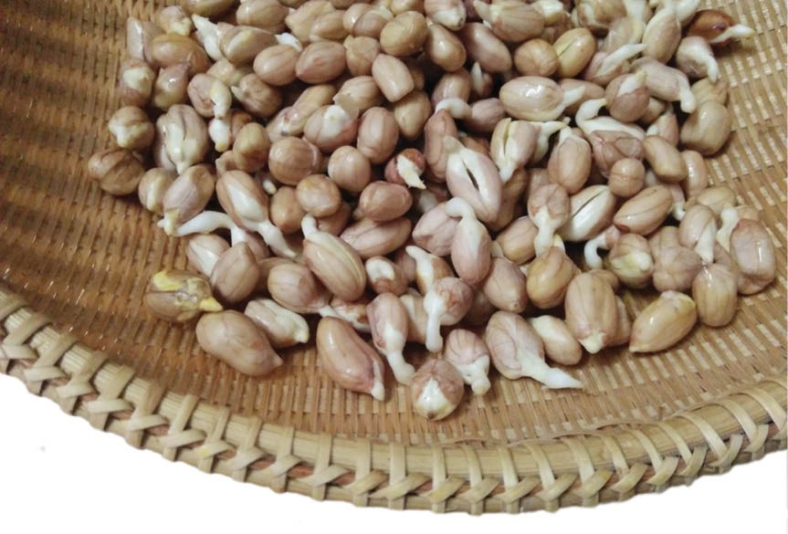“Nhức răng” với mầm đậu phộng xào thịt bò