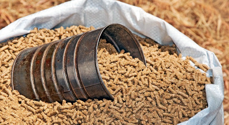 Lợn, gà ăn ‘đạm giả’, thịt nhiễm độc gây bệnh thận cho người