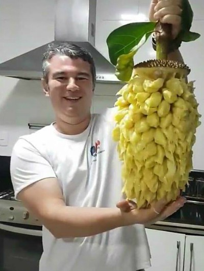 Bóc mít lột hết xơ cả quả chỉ tốn 3 phút - Ảnh 2.