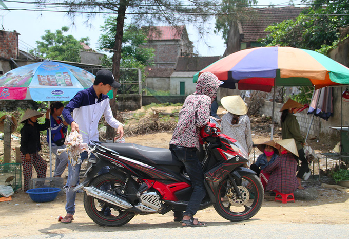 &Aacute;m ảnh với những h&igrave;nh ảnh săn chim trời ở H&agrave; Tĩnh - Ảnh 11.