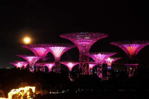 Gardens by the Bay - Thế giới diệu kỳ ở Singapore - Ảnh 11.
