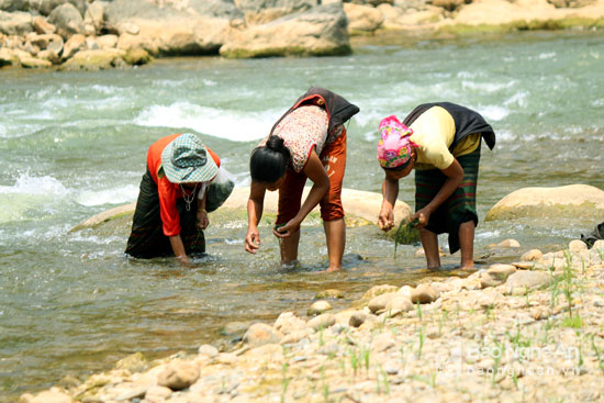 Ngỡ ng&agrave;ng miền T&acirc;y Nghệ An - Ảnh 11.