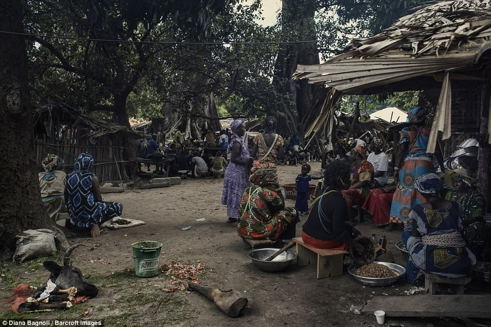 Để được kết h&ocirc;n, nam thanh ni&ecirc;n Senegal sống trong rừng một th&aacute;ng - Ảnh 11.