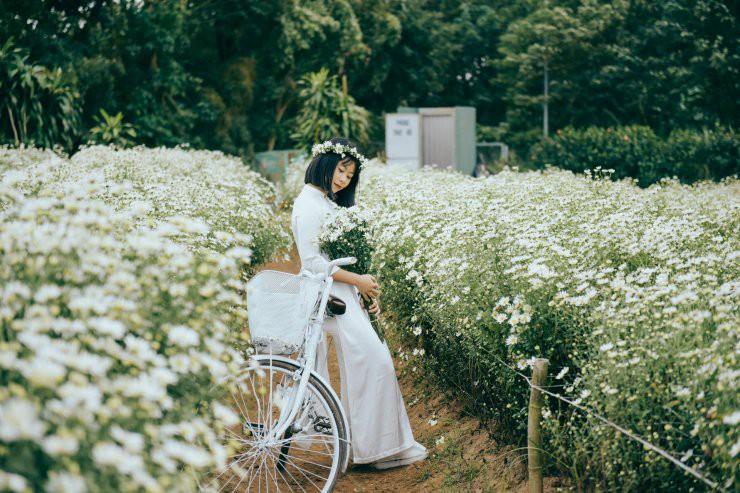 C&oacute; một m&ugrave;a c&uacute;c họa mi đẹp ngỡ ng&agrave;ng theo về tr&ecirc;n phố - Ảnh 11.