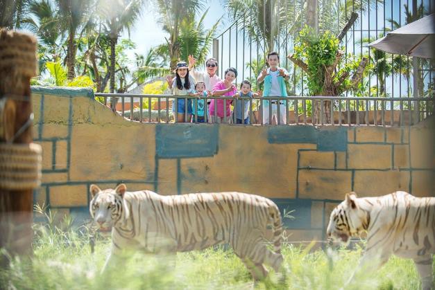 Lạc lối giữa ng&agrave;n hoa Tulip tại Vinpearl Land Nha Trang - Ảnh 14.
