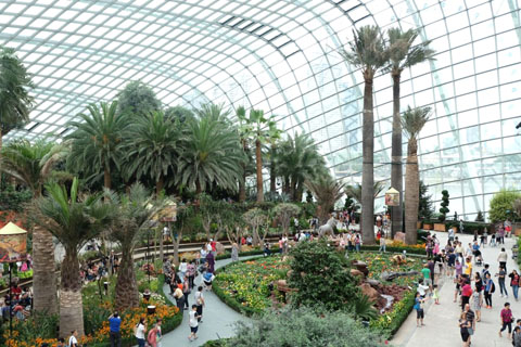 Gardens by the Bay - Thế giới diệu kỳ ở Singapore - Ảnh 12.